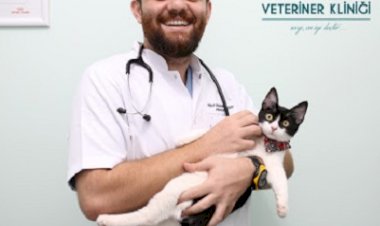 Veteriner Hekim Bülent Batuhan Çölgeçen