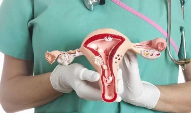HER 4 KADINDAN 1 ‘İNDE GÖRÜLEN MİYOMLAR HAKKINDA MERAK EDİLENLER