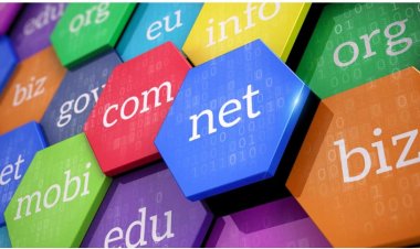 Doktor, Psikolog ve akademisyenlere com ve com.tr domain!