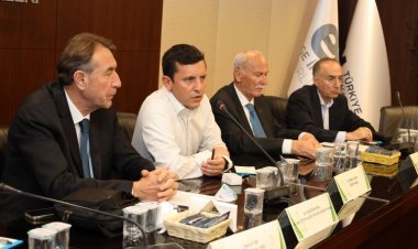 Türk Zeytinyağı Sektöründen Ortak Çıkış: İhracat Yasağı Kaldırılsın