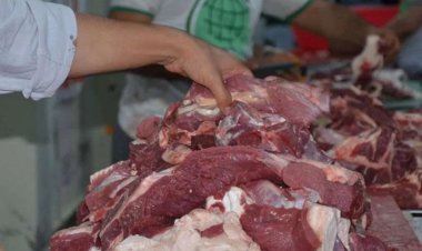 Etler oda sıcaklığında bekletilmemeli, hemen buzdolabına konulmalı!