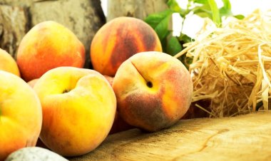 Peach and Nectarine Exports Soar Towards $250 Million