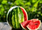 Interpretation of Seeing a Watermelon in a Dream: Islamic Dream Interpretation