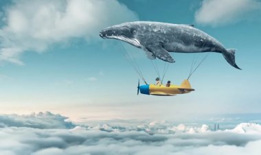The Interpretation Of Dreams Holds A Special Place In Islamic Tradition