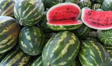 Rüyada karpuz görmek İslami Rüya Tabiri