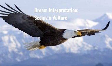 Dream Interpretation: Seeing a Vulture