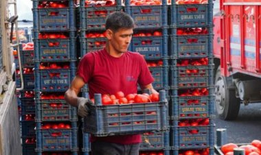 Türkiye'de Çiftçi Eylemleri Yayılıyor: Tarımda Yeni Bir Örgütlenme Dönemi mi Başlıyor?