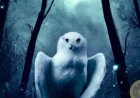 The Profound Symbolism of Owls in Dreams: Insights from Classical and Modern Perspectives