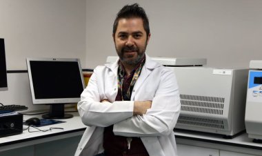 Antep Fıstığında Aflatoksin Alarmı: Sağlığınızı Riske Atmayın