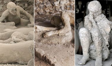Pompeii’nin Şaşırtıcı DNA Bulguları: Kurbanlar Ege Kökenli Çıktı