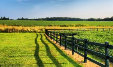 The Symbolism of Land, Terrain, and Ground in Dreams: Detailed Interpretations
