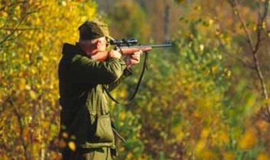 The Symbolism of Hunting in Dreams: Interpretations from Classical Islamic Scholars
