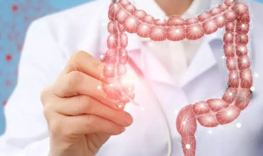 Interpreting Intestines in Dreams: Insights from Ancient Wisdom and Modern Psychology