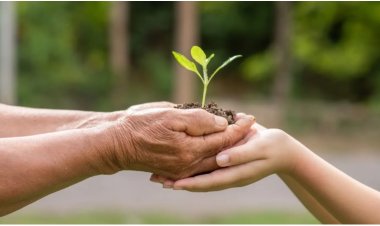 The Symbolism of Charity in Dreams: A Deep Dive into Spiritual and Psychological Insights