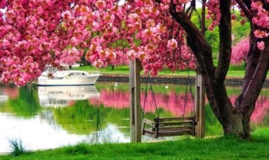 The Symbolism of Spring in Dreams: Renewals, Hopes, and Insights