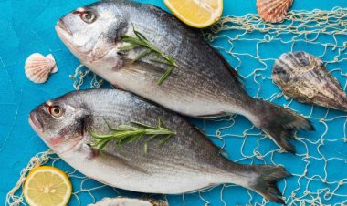 The Symbolism of Fish in Dreams: Insights from Classical and Modern Interpretations