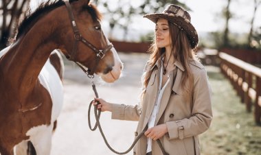 Healing Through Hippotherapy: The Therapeutic Power of Horses