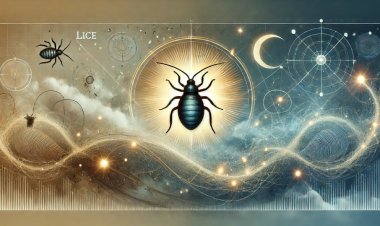 The Symbolism of Lice in Dreams: Wealth, Challenges, and Hidden Warnings