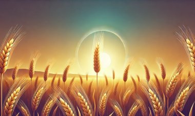 The Symbolism of Wheat in Dreams: A Gateway to Prosperity and Spiritual Reflection