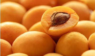 Apricot Kernels: Nature’s Secret for Health and Beauty