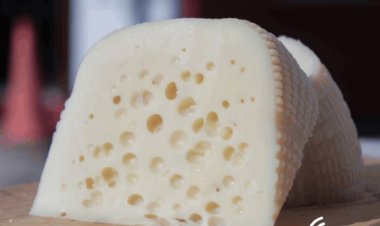 Ayvalık Sepet/Kelle Cheese Receives Geographical Indication Certification