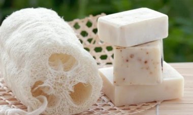 Denizli’s Miracle Plant: Loofah Gourd Offers Natural Skincare and Sustainability