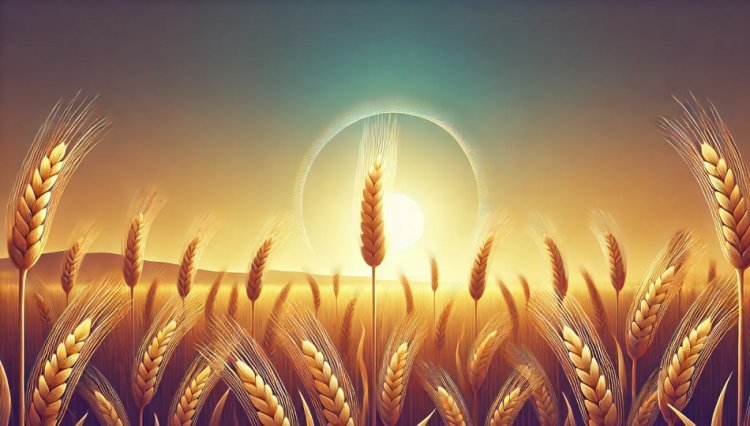 The Symbolism of Wheat in Dreams: A Gateway to Prosperity and Spiritual Reflection