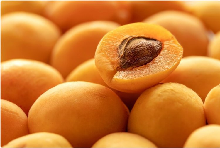 Apricot Kernels: Nature’s Secret for Health and Beauty