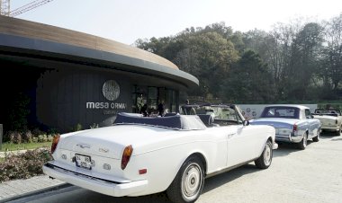 Klasik otomobil tutkunları Mesa Orman’da buluştu