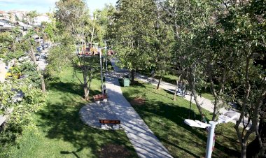 Erkek Şiddeti Sonucu Öldürülen Kadınların İsimlerini Parklarda Yaşayacak