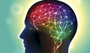 Neurofeedback (Sinirsel Geribildirim) ve Anksiyete