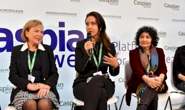 Adviye Bergemann bu yıl 50. kez düzenlenen Davos Zirvesi’nde ülkemizi temsil etti.